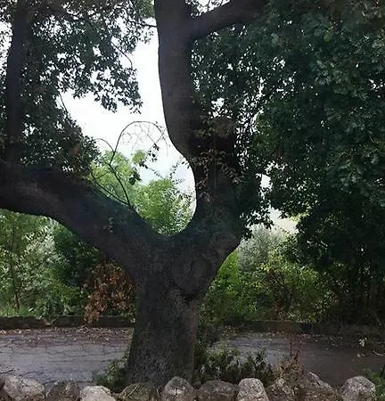 Casale 5 Querce Pineto