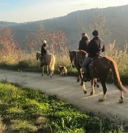 Alloggio per agriturismo Casale 5 Querce *