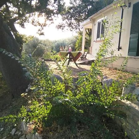 Alloggio per agriturismo Casale 5 Querce Pineto